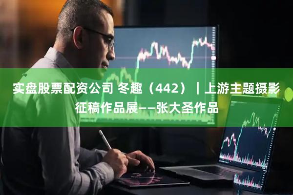 实盘股票配资公司 冬趣（442）｜上游主题摄影征稿作品展——张大圣作品