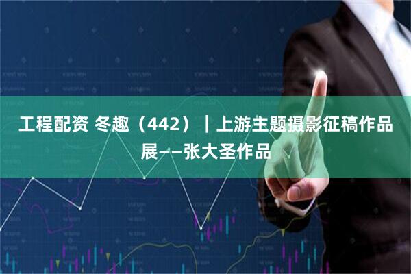 工程配资 冬趣（442）｜上游主题摄影征稿作品展——张大圣作品