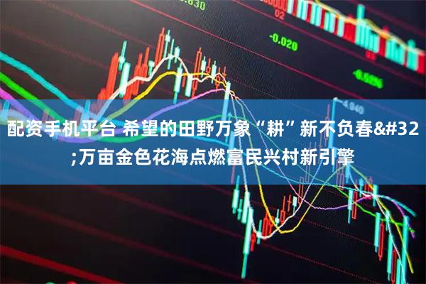 配资手机平台 希望的田野万象“耕”新不负春 万亩金色花海点燃富民兴村新引擎